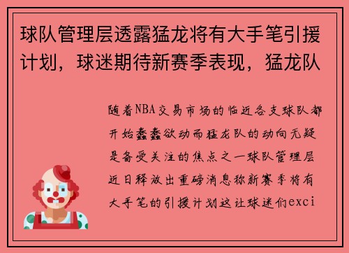 球队管理层透露猛龙将有大手笔引援计划，球迷期待新赛季表现，猛龙队球星